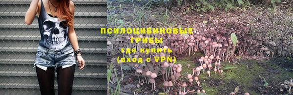 скорость Алексин