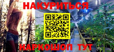 Альфа ПВП Обь