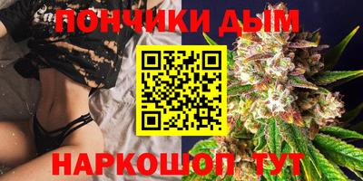 Альфа ПВП Обь