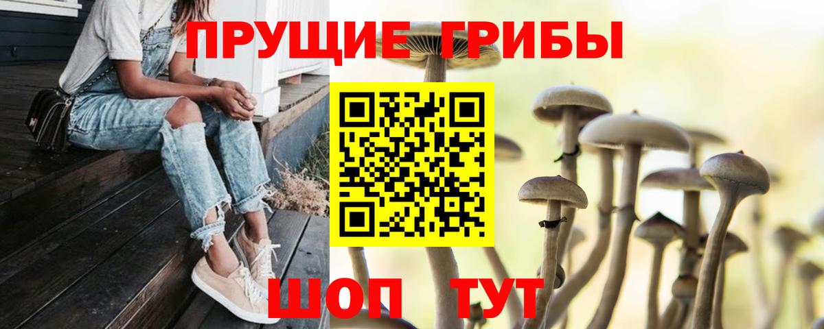 Галлюциногенные грибы MAGIC MUSHROOMS Кондопога